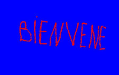 Bienvenu chers amis(es)dans mon blog!!!!!!!!